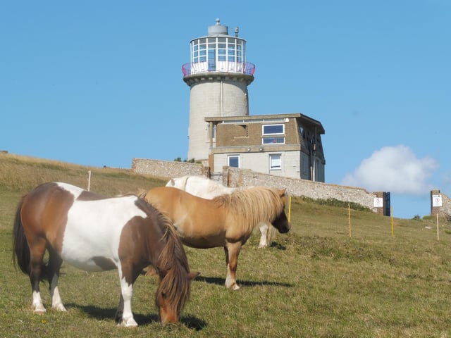 Ponies at Belle Tout, taken by Roger Grout on a Lumix TZ57 on a walk from Birling Gap. "Thank you and keep safe," he said. SUS-200508-122606001