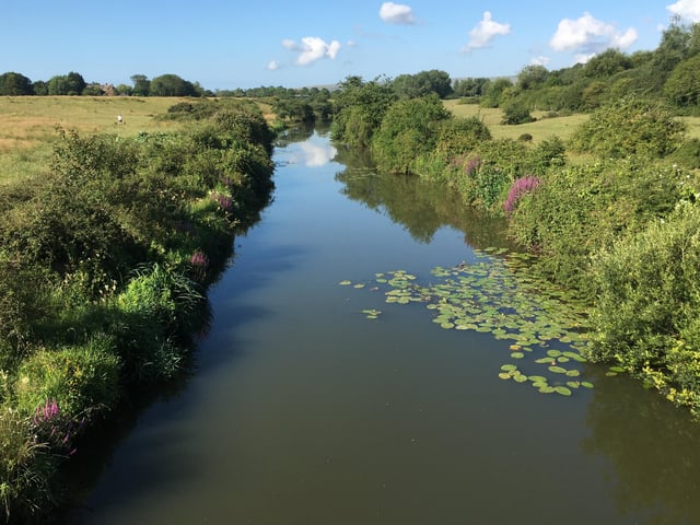 Lilly pads on the River Cuckmere at Arlington. This tranquil shot was taken by Bob Marshall with an iPhone 6s whilst out on a beautiful summer morning's walk. SUS-200508-100509001