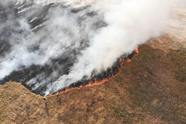 Horsham field fire near the A264 SUS-201108-182223001