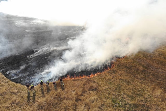 Horsham field fire near the A264 SUS-201108-182149001