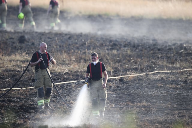 Horsham field fire near the A264 SUS-201108-184757001