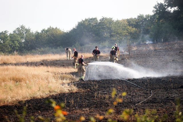 Horsham field fire near the A264 SUS-201108-185543001