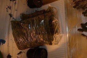 Drugs worth £250,000 were found in the property
