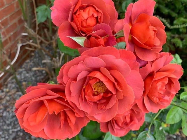 Phyl Stroud