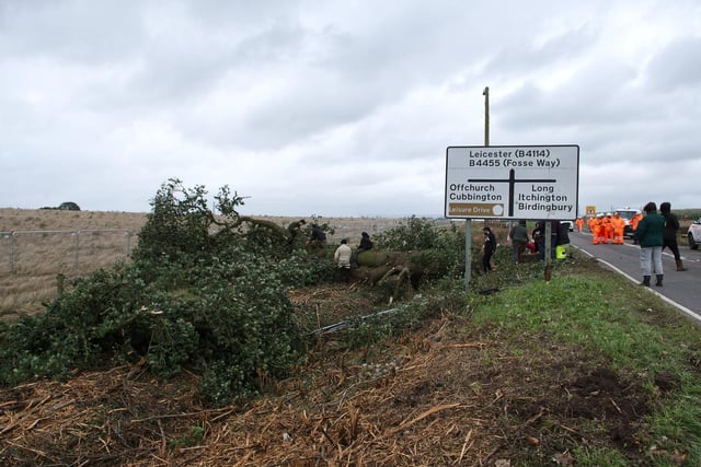 Photos of the damage caused as tree and hedgerows were taken down to make way for HS2.