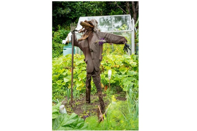 Scarecrows at Odibourne and Spring Lane Allotments.