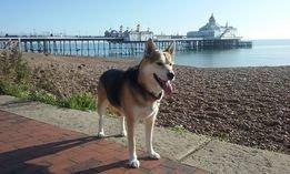Evie SUS-200826-124041001