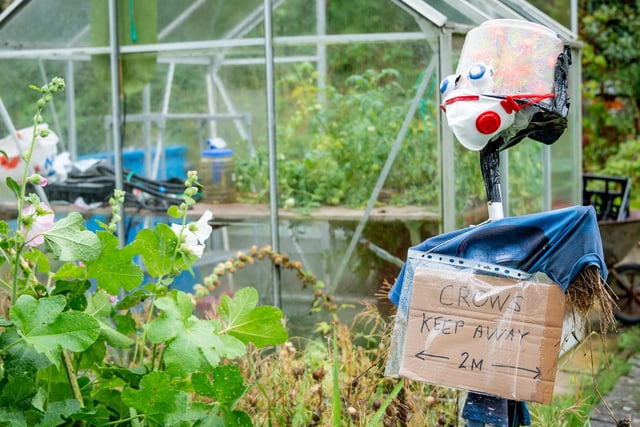 Scarecrows at Odibourne and Spring Lane Allotments.