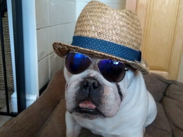 Mr B