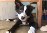 Bella