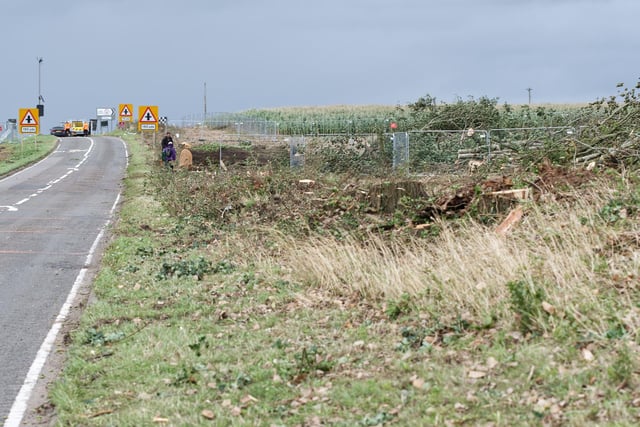 Photos of the damage caused as tree and hedgerows were taken down to make way for HS2. Photo by David Hastings (dh Photo)