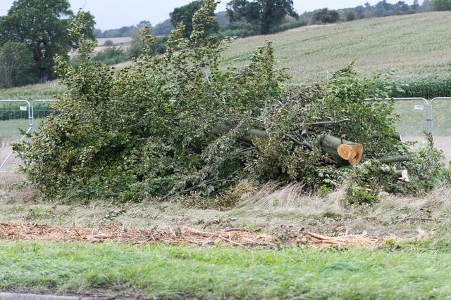 Photos of the damage caused as tree and hedgerows were taken down to make way for HS2. Photo by David Hastings (dh Photo)