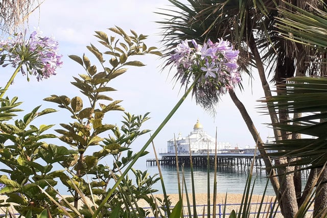 Joanne Thompson, visiting from Essex took Eastbourne pier framed by foliage with a Nikon d500 cool pix camera. SUS-200209-102817001