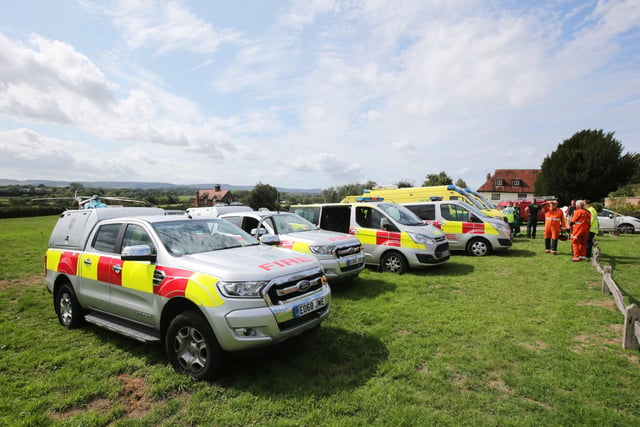 Emergency services rescue man trapped under tree near Pulborough – in ...