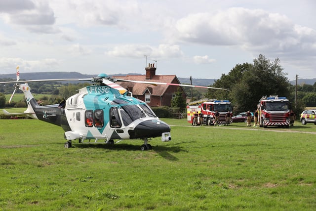 Emergency services rescue man trapped under tree near Pulborough – in ...