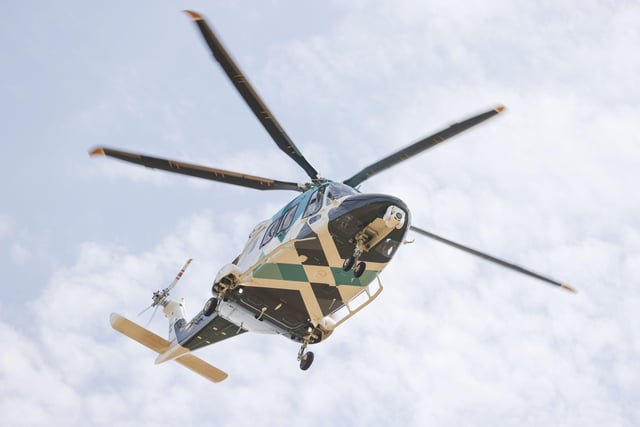 Emergency services rescue man trapped under tree near Pulborough – in ...