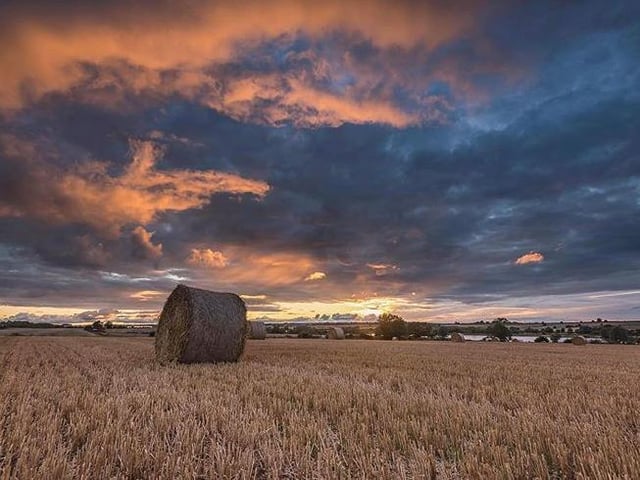 This gorgeous image was captured by Gary Solomon Photography in Wollaston