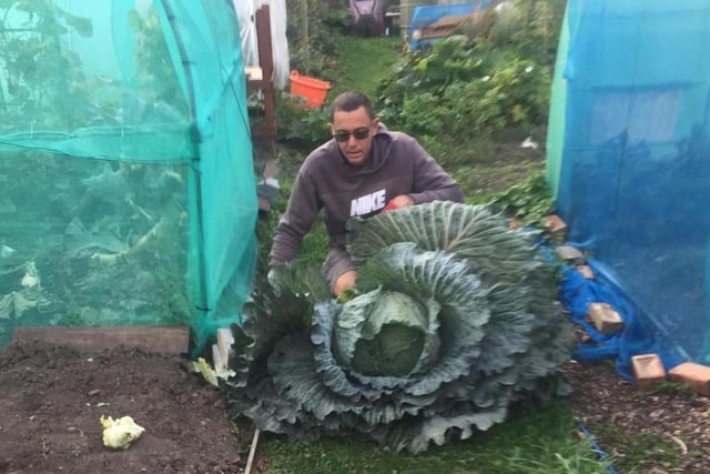 Shaun Perryman's giant vegetables