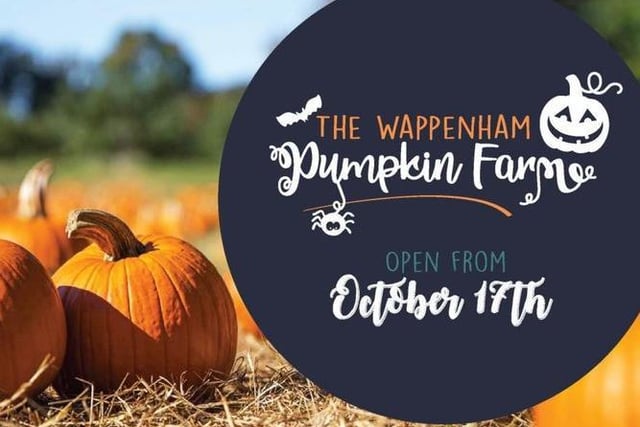 The Towcester-based farm will be open for pumpkin picking from October 17 to 31.
As well as picking their favourite pumpkin, children will also be able to enjoy a spooky trail and listen to scary stories.
Pre-booking is mandatory and can be done on the farm’s website.