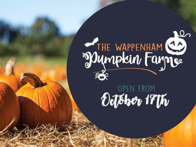 The Towcester-based farm will be open for pumpkin picking from October 17 to 31.
As well as picking their favourite pumpkin, children will also be able to enjoy a spooky trail and listen to scary stories.
Pre-booking is mandatory and can be done on the farm’s website.