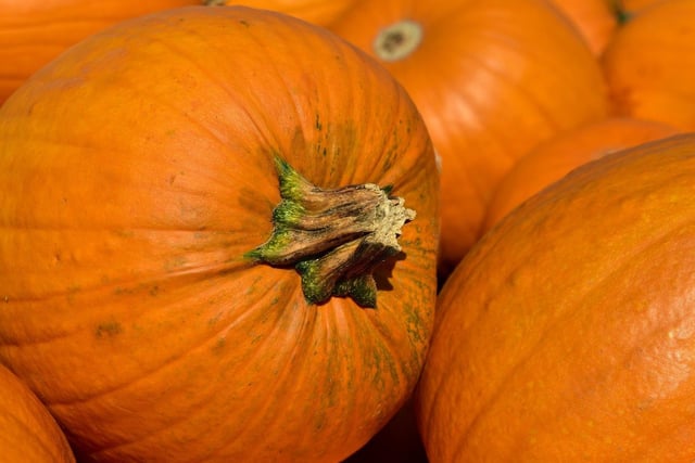 Just a short drive out of the county, Malt Kiln in Rugby offers a ‘pick your own’ experience for halloween lovers. 
The farm will reopen for pumpkin picking on October 3, where customers are asked to pay £2.50 entry fee and must pre-book. 
Pumpkins are chargeable.
Pre-booking information can be found on the farm's website.