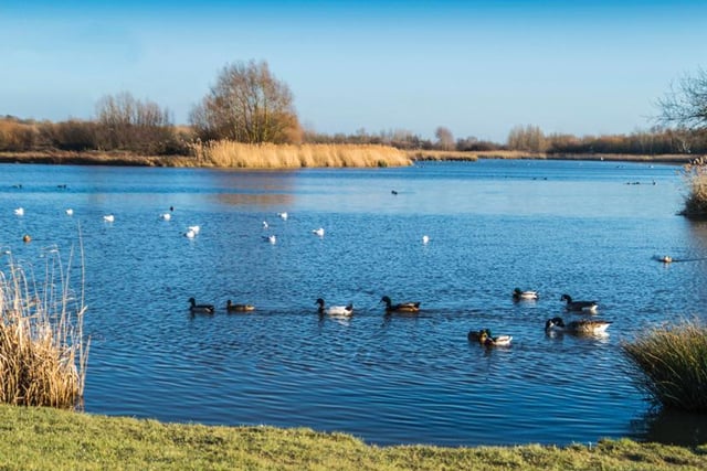 Thank you to Alistair Ball who sent this picture taken in Eastbourne of Shinewater Lake. The lake has the character of a country park, including distant views of the South Downs.