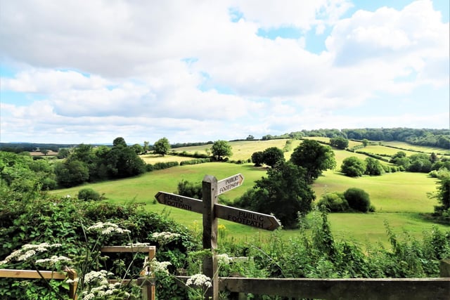 Sussex is blessed with stunning countryside and this picture from Petworth shows just that.