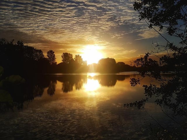 Picture: www.twitter.com/matthewirons1