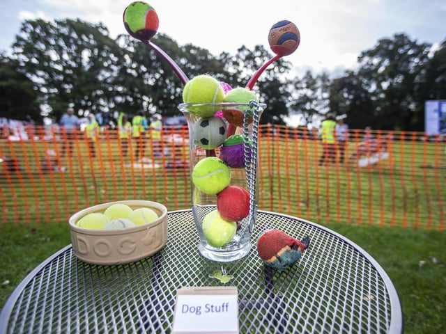 Left-behind dog toys. Pictures taken by Kirsty Edmonds.