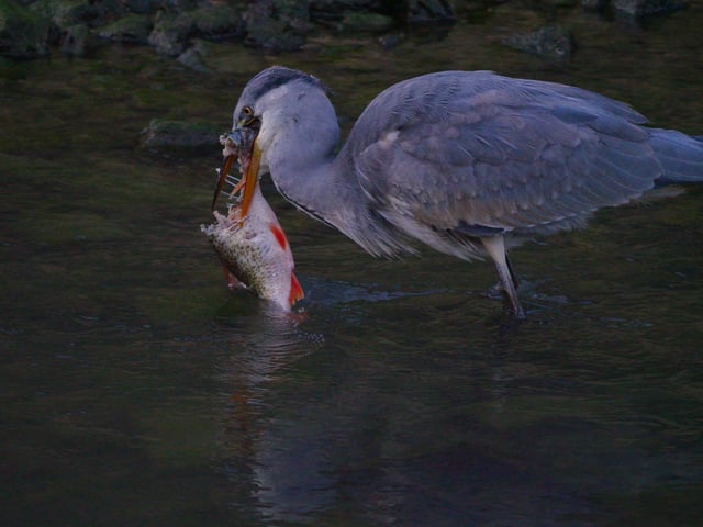 10. Down the hatch as they say... SUS-200916-104238001