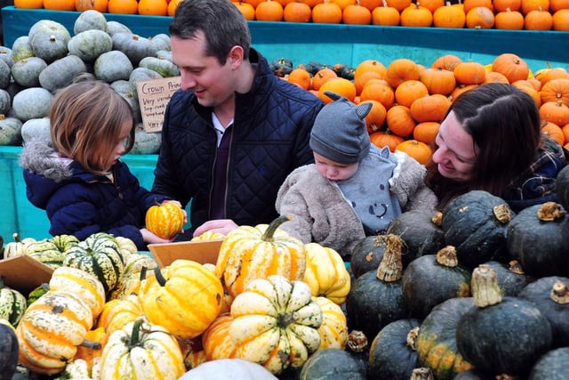 ks171079-8 Slindon Pumpkin phot kate...Visitors choosing their pumpkins.ks171079-8