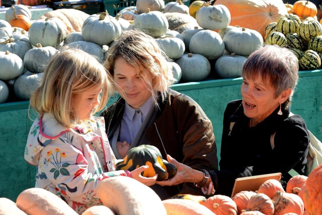 ks171079-7 Slindon Pumpkin phot kate...Visitors choosing their pumpkins.ks171079-7