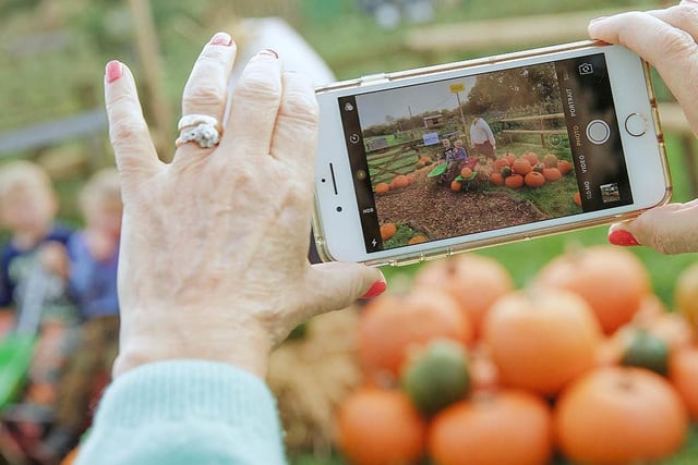 Situated in Desborough, West Lodge Farm Park makes for the perfect location to take pumpkin patch pictures if you want to add splashes of autumnal colour to your Instagram.