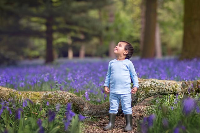 In the spring, this ancient woodland in Daventry comes alive with its remarkable display of bluebells and rare tulips. It is perfect for tranquil woodland walks and for when you want to add more florals to your feed.