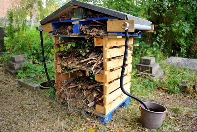 The bug hotel, built by Peter Standing. Picture: Steve Robards SR2009233