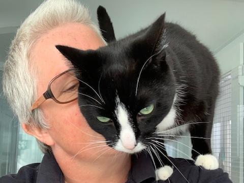 Annie Marriott with one of the cats looking to be re-homed