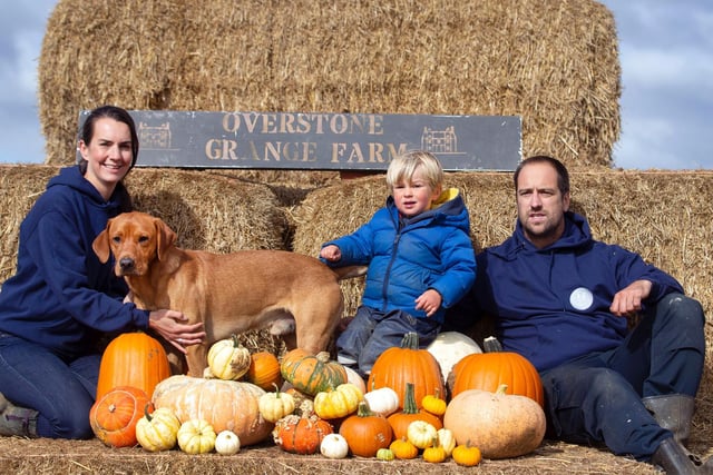 Lucy, George and Tom Harris pictured on their family farm in Moulton. Pictures by Kirsty Edmonds.