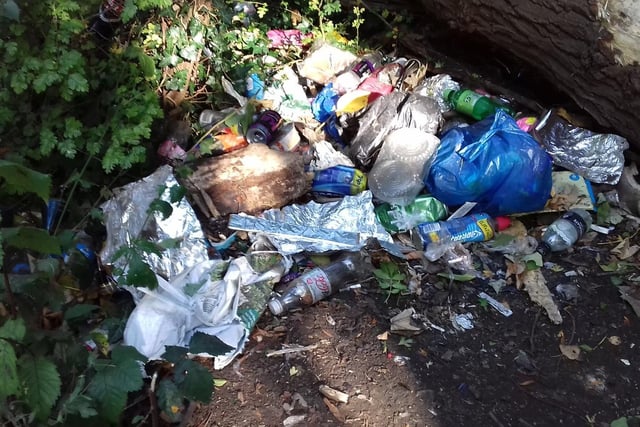 Some of the rubbish found in Croyland Park