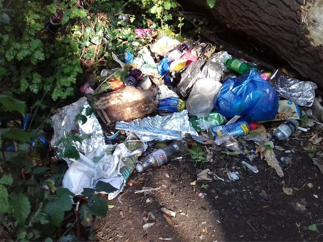 Some of the rubbish found in Croyland Park