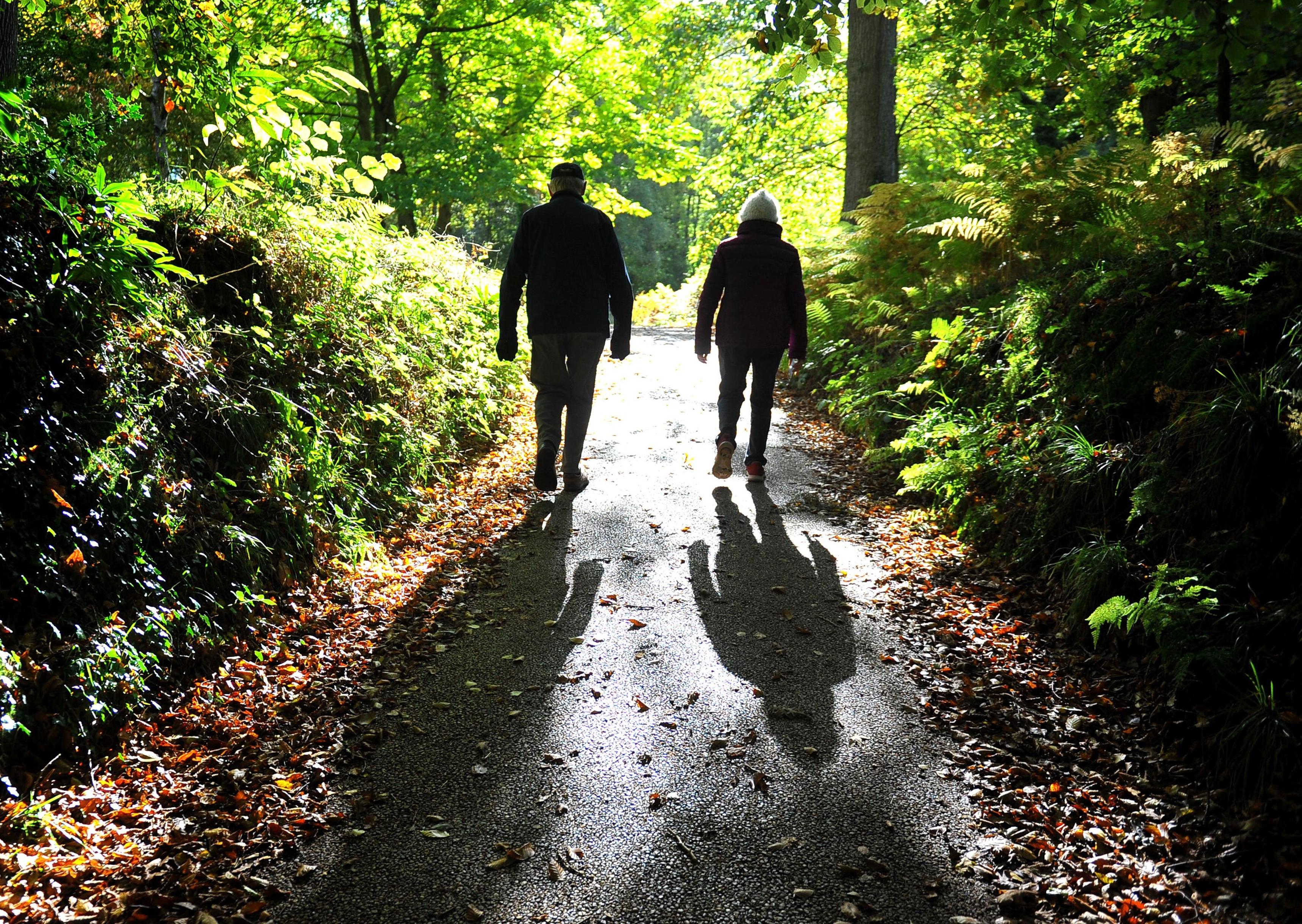 Autumn tints at Wakehurst. Picture: Steve Robards