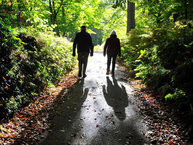 Autumn tints at Wakehurst. Picture: Steve Robards