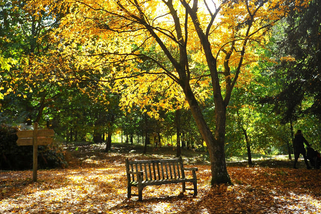 Autumn tints at Wakehurst. Picture: Steve Robards