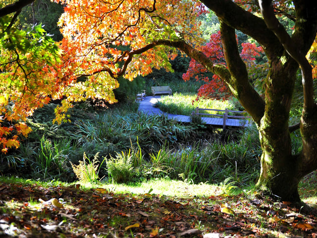 Autumn tints at Wakehurst. Picture: Steve Robards