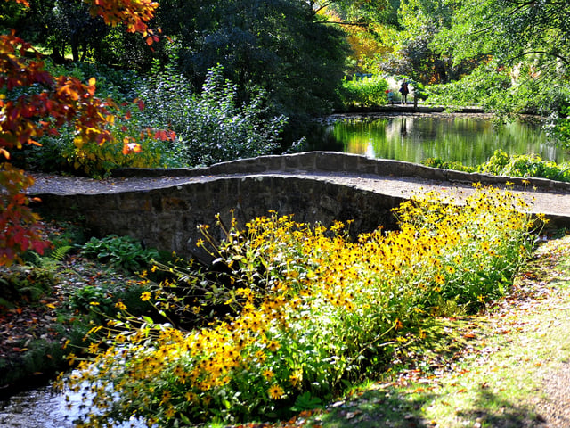 Autumn tints at Wakehurst. Picture: Steve Robards