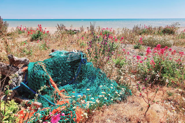 "Colourful netting amongst the wild flowers on Pevensey beach, almost the same hue as the sea that day," said Eileen Kilgour, who took this shot with a Samsung S10. SUS-201014-103107001