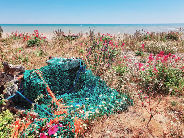 "Colourful netting amongst the wild flowers on Pevensey beach, almost the same hue as the sea that day," said Eileen Kilgour, who took this shot with a Samsung S10. SUS-201014-103107001