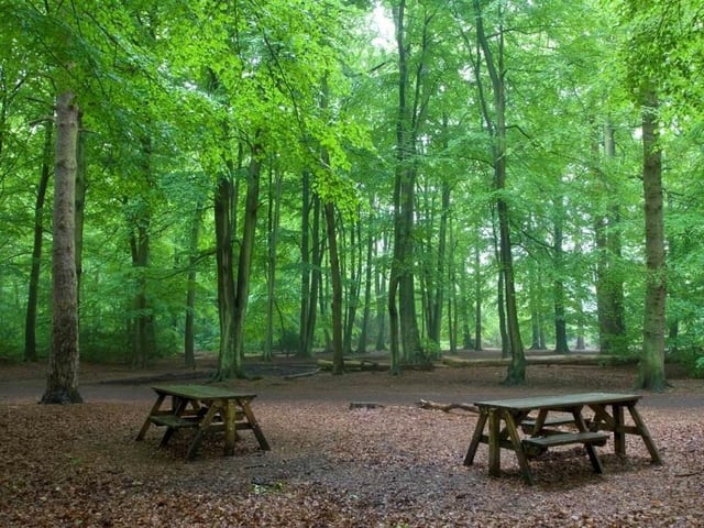 Chipperfield Common