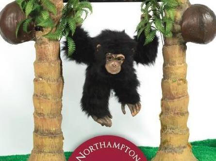 Do you remember going into Gordon Scott's shoe shop and seeing Alfie the Ape swinging on the coconut trees on display?