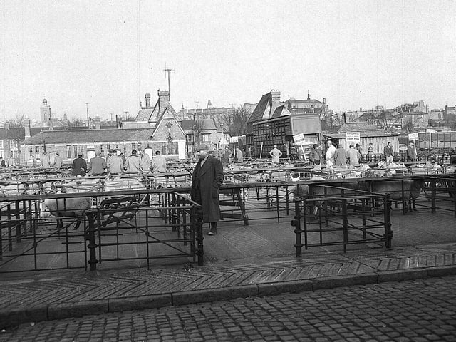 In 1873, Northampton's Cattle Market was built. Before which, animals were penned and sold on the street in Market Square, which explains the names of 'Sheep Street' and 'Marefair'.