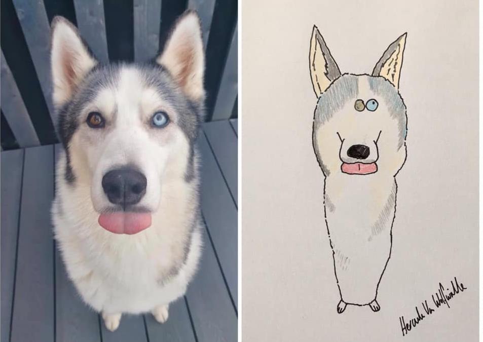 https://www.justgiving.com/fundraising/portraitsbyhercule